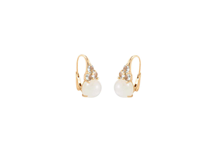 Gold Plated | Clip Earrings